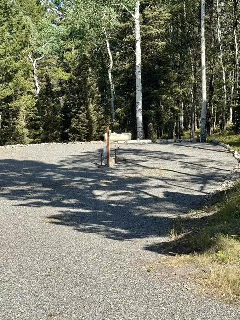 210 Ridge Rd, Cimarron, CO 81220 photo 2