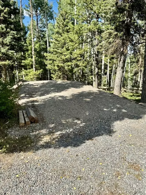 210 Ridge Rd, Cimarron, CO 81220 photo 6