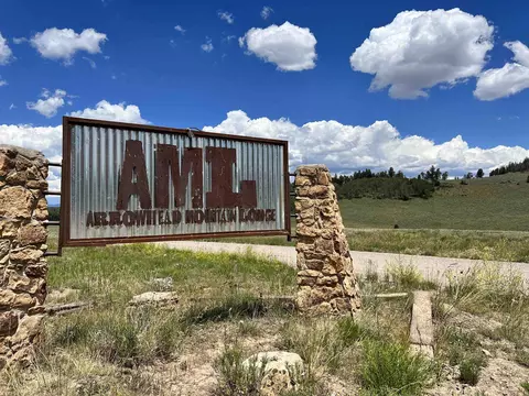 210 Ridge Rd, Cimarron, CO 81220 photo 11