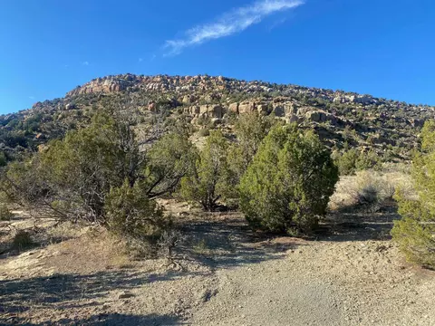 44330 Highway 65, De Beque, CO 81630 photo 13