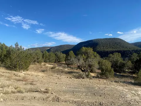 44330 Highway 65, De Beque, CO 81630 photo 9