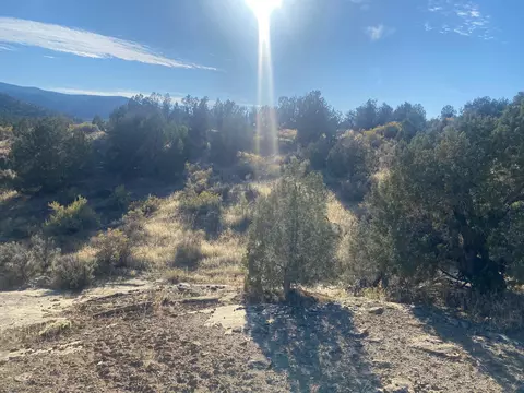 44330 Highway 65, De Beque, CO 81630 photo 12