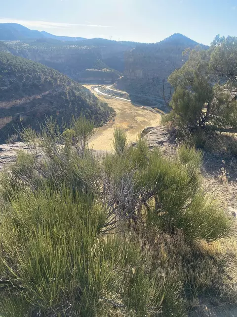 44330 Highway 65, De Beque, CO 81630 photo 7