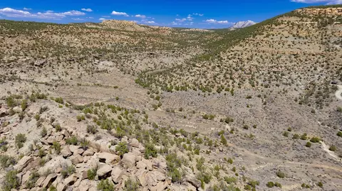 tbd Highway 65, De Beque, CO 81630 photo 14