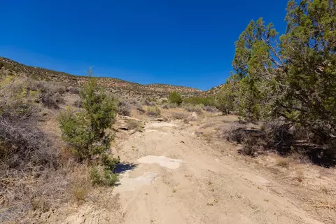 tbd Highway 65, De Beque, CO 81630 photo 5