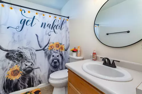 Bath - 1300 Powell St, Fruita, CO 81521 photo 1 of 2