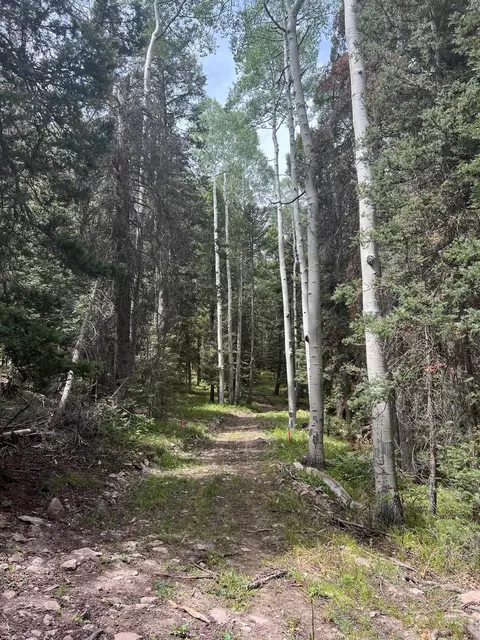 427 Juniper Dr, Cimarron, CO 81220