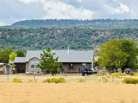 16321 Elk Dr, Glade Park, CO 81523