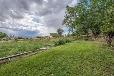 1355 18 12 Rd, Fruita, CO 81521 photo 37