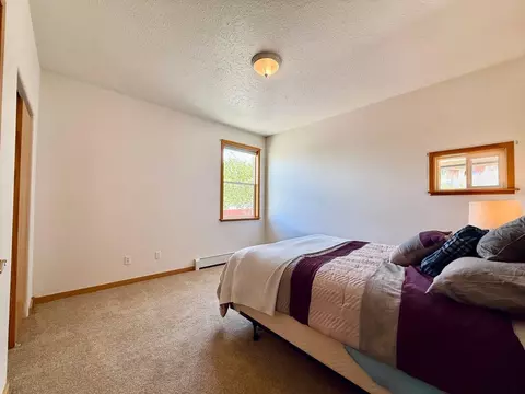 920 Crown Ct, Fruita, CO 81521 photo 26