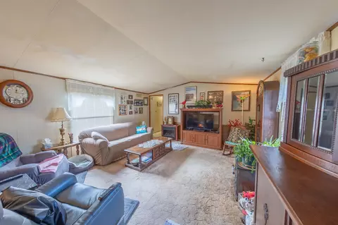 219 Honeysuckle Cir, Fruita, CO 81521 photo 4