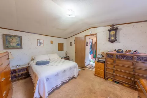 219 Honeysuckle Cir, Fruita, CO 81521 photo 14