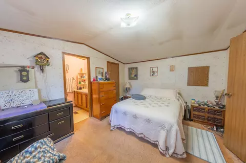 219 Honeysuckle Cir, Fruita, CO 81521 photo 13