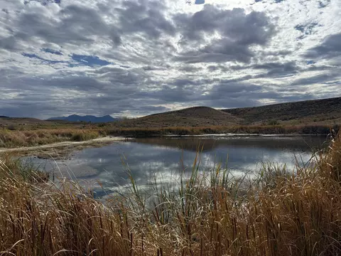 Payne Siding Road, Hotchkiss, CO 81419