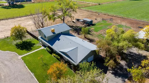 1175 20 Rd, Fruita, CO 81521 photo 31