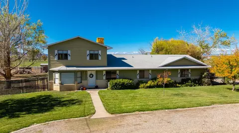 1175 20 Rd, Fruita, CO 81521