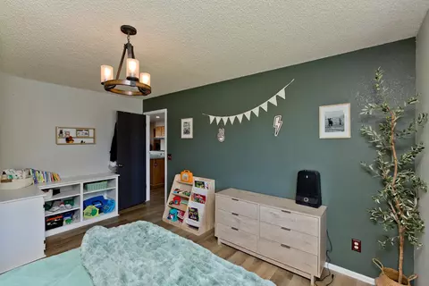 1175 20 Rd, Fruita, CO 81521 photo 27