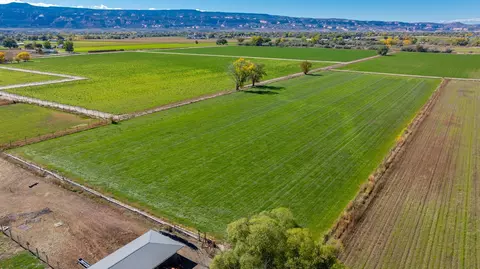 1175 20 Rd, Fruita, CO 81521 photo 35