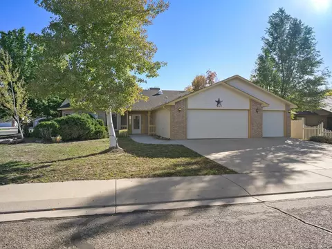 490 Forty Niner Dr, Fruita, CO 81521