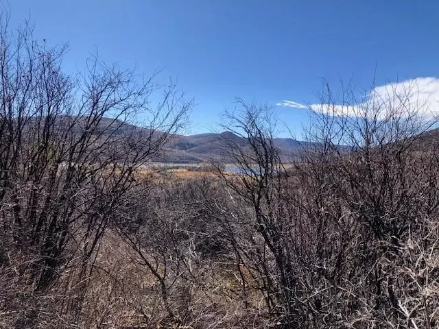  tbd Vega Vista Dr, Collbran, CO 81624 photo 5