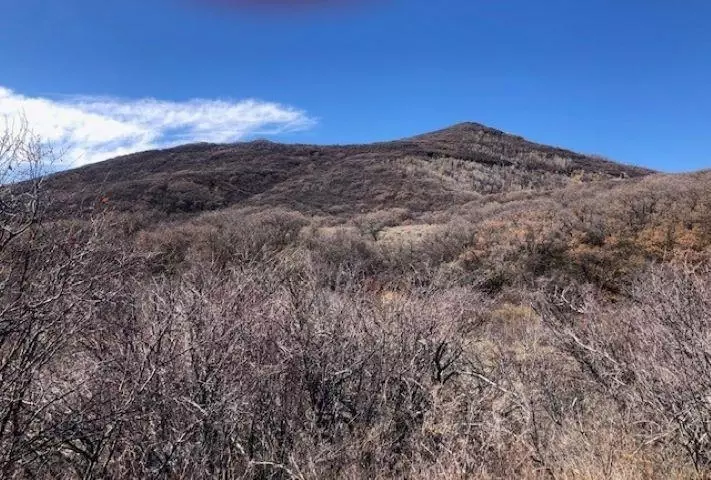  tbd Vega Vista Dr, Collbran, CO 81624 photo 6