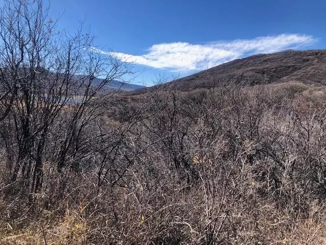  tbd Vega Vista Dr, Collbran, CO 81624 photo 4