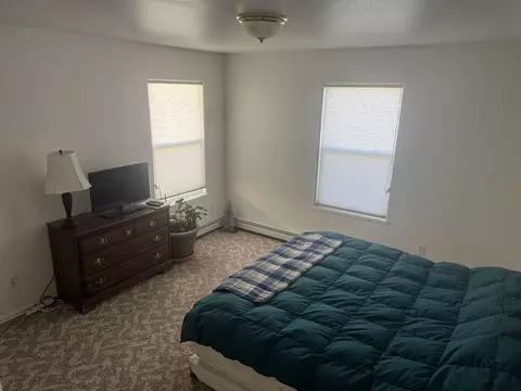 Bedroom - 308 Elderberry Dr, Fruita, CO 81521 photo 1 of 6