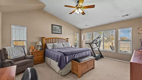 668 Silver Plume Dr, Fruita, CO 81521 photo 15