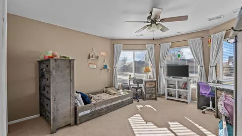 668 Silver Plume Dr, Fruita, CO 81521 photo 20