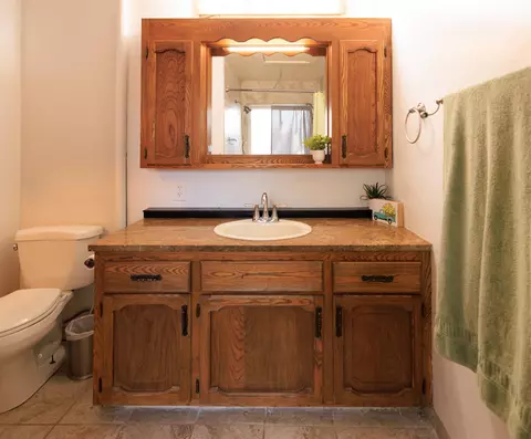 905 E Cleveland Ave, Fruita, CO 81521 photo 9