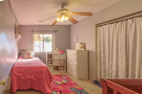 905 E Cleveland Ave, Fruita, CO 81521 photo 12
