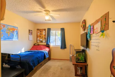 905 E Cleveland Ave, Fruita, CO 81521 photo 13