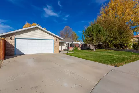 1111 Mesquite Ct, Fruita, CO 81521 photo 24