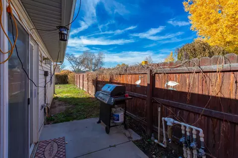1111 Mesquite Ct, Fruita, CO 81521 photo 17