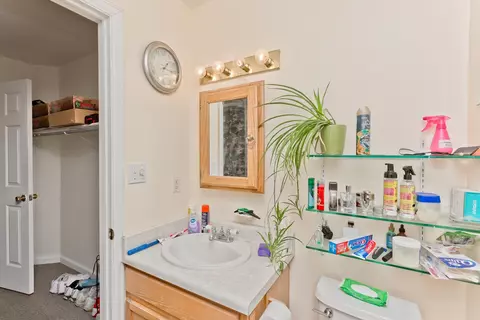 1111 Mesquite Ct, Fruita, CO 81521 photo 15