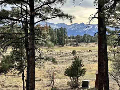 46 Marmot Dr, Ridgway, CO 81432