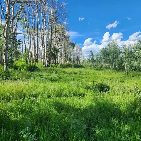 tbd Zs Rd #(240 ACRES), Whitewater, CO 81527