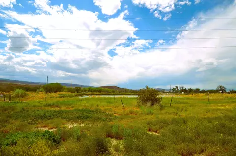 853 Raptor Rd, Fruita, CO 81521 photo 7