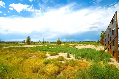 853 Raptor Rd, Fruita, CO 81521 photo 10