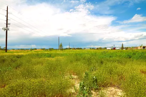 853 Raptor Rd, Fruita, CO 81521 photo 6