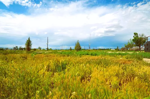 853 Raptor Rd, Fruita, CO 81521 photo 9
