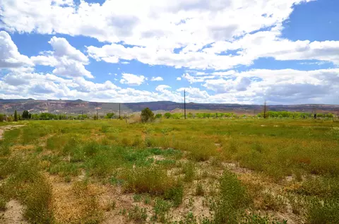853 Raptor Rd, Fruita, CO 81521 photo 4