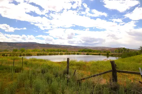 853 Raptor Rd, Fruita, CO 81521 photo 14