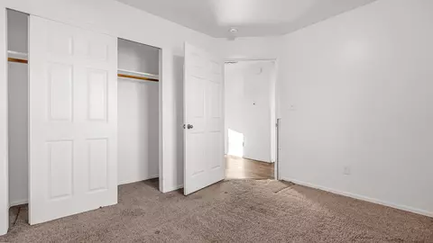 223 Javan Ct, Fruita, CO 81521 photo 18