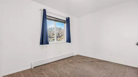 223 Javan Ct, Fruita, CO 81521 photo 20