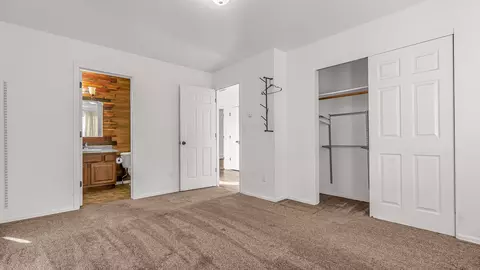 223 Javan Ct, Fruita, CO 81521 photo 23