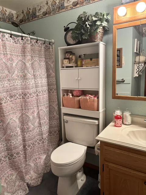 Bath - 340 SW 8th Ave, Cedaredge, CO 81413 photo 1 of 1