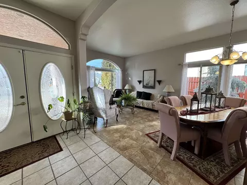 452 Amelia Rose Ct, Fruita, CO 81521 photo 13