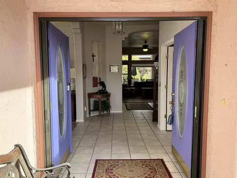 452 Amelia Rose Ct, Fruita, CO 81521 photo 7