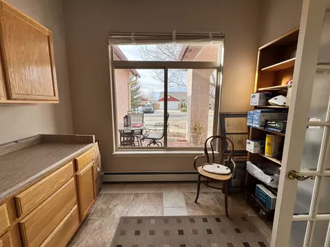 452 Amelia Rose Ct, Fruita, CO 81521 photo 17